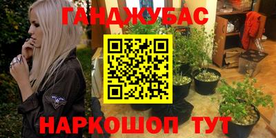 шишки Будённовск