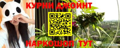 шишки Будённовск
