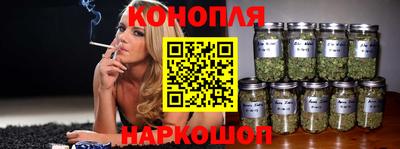 шишки Будённовск