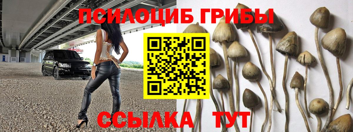 Минусинск  Галлюциногенные грибы Psilocybine cubensis  Вход с VPN 